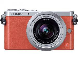 Panasonic Lumix DMC-GM1K with 12-32mm Lens