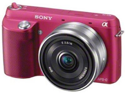 SONY NEX-F3D with SEL1855 Lens