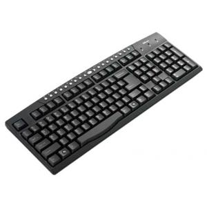 Trust Multimedia Keyboard Black USB PS/2