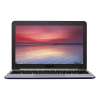 Asus Chromebook C201PA-DS01