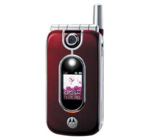 Motorola MS250