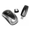 Creative Mouse Wireless Notebook Optical Silver USB