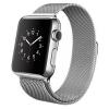 Apple Watch with Milanese Loop (38mm)