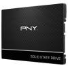 PNY CS900 250 GB (SSD7CS900-250-RB)