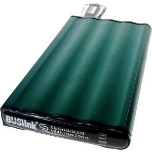 Buslink CipherShield DSE-500SDU31G2 500 GB