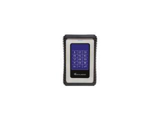 DataLocker DL3 256 GB External Solid State Drive