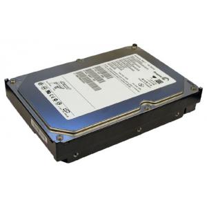 Seagate ST3160027AS