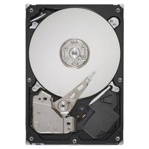 Seagate ST3160316AS