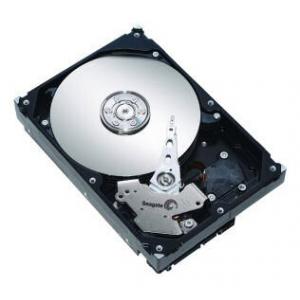 Seagate ST3250624AS
