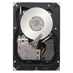 Seagate ST3300555SS