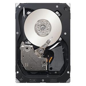 Seagate ST3300557SS