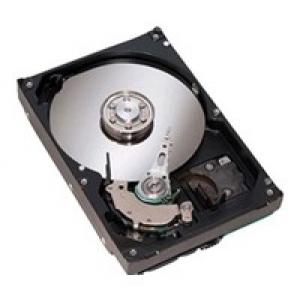 Seagate ST3400832AS