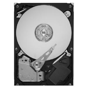 Seagate ST500DL001