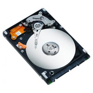 Seagate ST9120822AS