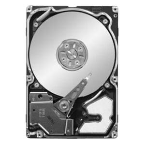 Seagate ST9146703SS