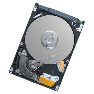 Seagate ST980310AS