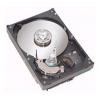 Seagate ST31600827AS