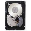 Seagate ST3300656SS