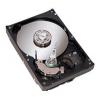 Seagate ST3300831AS