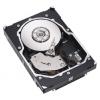 Seagate ST336807LC