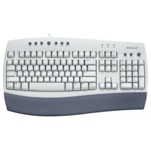 Microsoft Internet Keyboard White PS/2