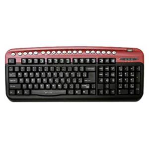 Oklick 320 M Multimedia Keyboard Red PS/2