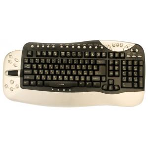 Oklick 780L Multimedia Keyboard Black-Silver PS/2