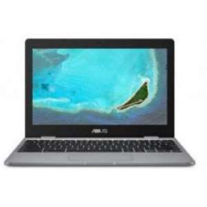 Asus Chromebook C223NA-DH02