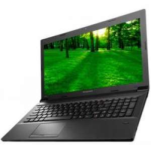 Lenovo IdeaPad B590 (59-390111)