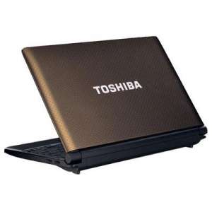 Toshiba NB505-1013