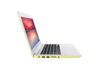 Asus Chromebook C300MA-DH02-YL (90NB05W5-M01230)