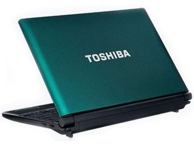Toshiba NB505-1024B