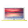 Asus Chromebook C300MA-DH02-YL (90NB05W5-M01230)