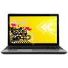 Acer Aspire E1-531 (UN.M12SI.014)