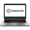 HP ProBook 645 G1 (G6M97UPABA)