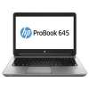 HP ProBook 645 G1 (H5G60EA)