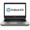 HP ProBook 645 G1 (J1K29UPABA)