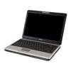 Toshiba Satellite PRO M300-S1002X