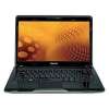 Toshiba Satellite T135-S1310