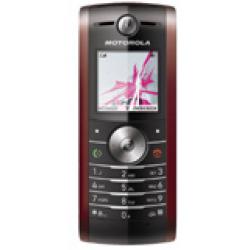 Motorola RADIOMOTO W209