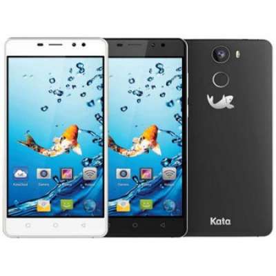 Kata C2