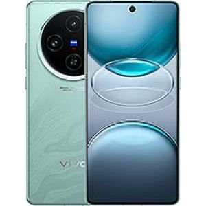 vivo X100s