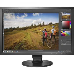 Eizo CS2420-BK-CNX