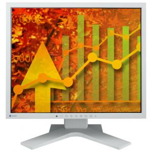 Eizo FlexScan S1921-X