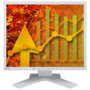 Eizo FlexScan S1923