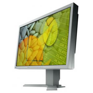 Eizo FlexScan S2202W