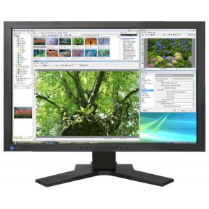 Eizo FlexScan SX2461WK