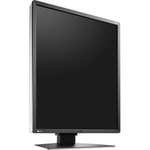 Eizo GX550-P-BK