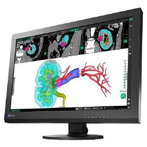 Eizo RadiForce MX242W 24.1 (MX242W-BK)