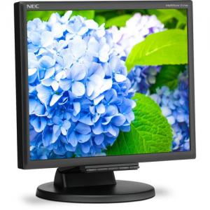 NEC Display E172M-BK 17" SXGA